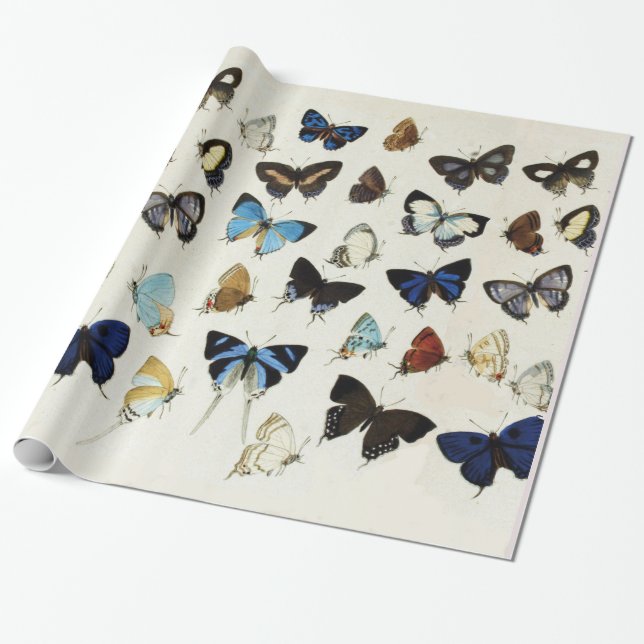 FARBIGE BUTTERFLIES Schönheit Natur Lover Geschenkpapier (Ungerollt)