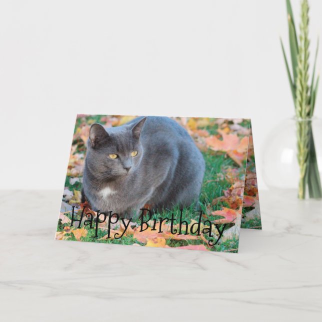 Farbige Cat Card Karte (Vorderseite)