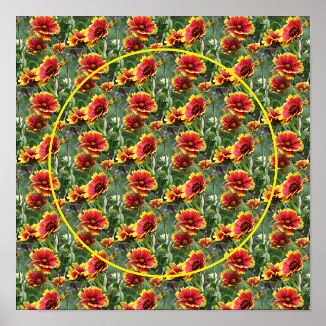 Farbige Daisy-Blume gestalten Ihr eigenes Foto Poster (Vorne)