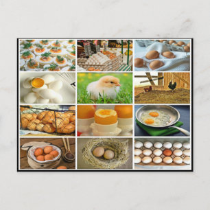 Farbige Eierhühnerkollage Postkarte