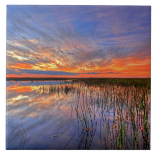 Farbige Everglades, Florida, Fliese
