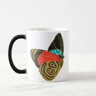 Farbige exotische Schmetterlinge Schmetterling Verwandlungstasse