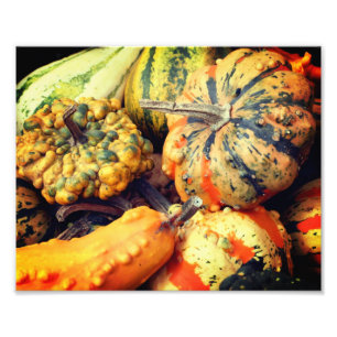 Farbige Fancy Gourds Nahaufnahme 8x10 Fotodruck