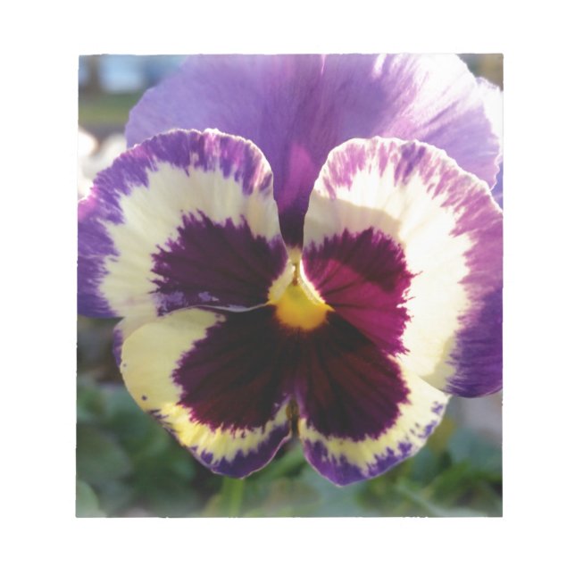farbige Feder Pansy Notizblock (Vorderseite)