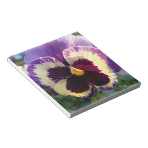 farbige Feder Pansy Notizblock