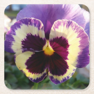farbige Feder Pansy Rechteckiger Pappuntersetzer