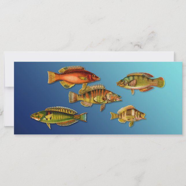 Farbige Fische Einladung (Vorderseite)