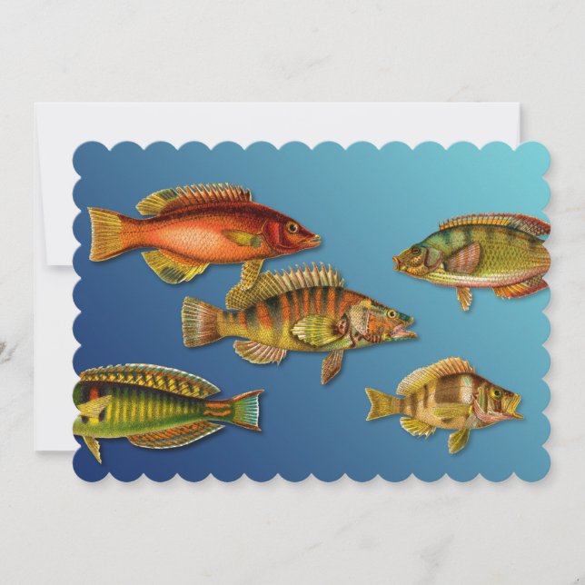 Farbige Fische Einladung (Vorderseite)