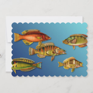 Farbige Fische Einladung