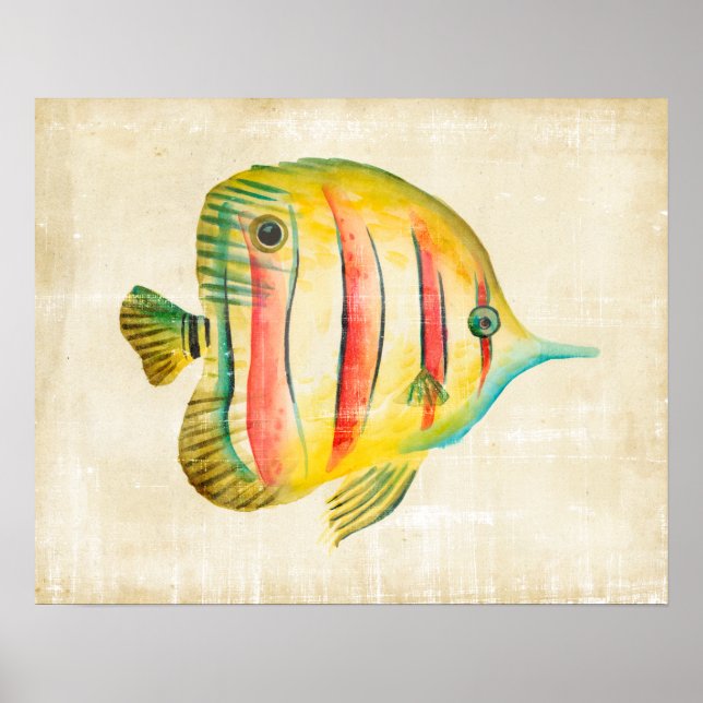 Farbige Fische Poster (Vorne)