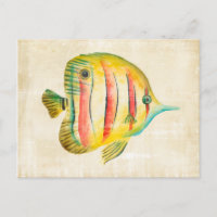 Farbige Fische