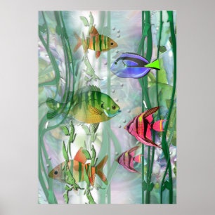 Farbige Fishien drucken Poster