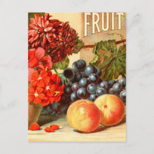 Farbige Fruchtsalzsäure Postkarte