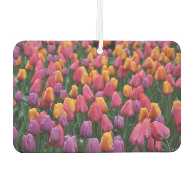 Farbige Frühlingtulips Autolufterfrischer (Vorderseite)
