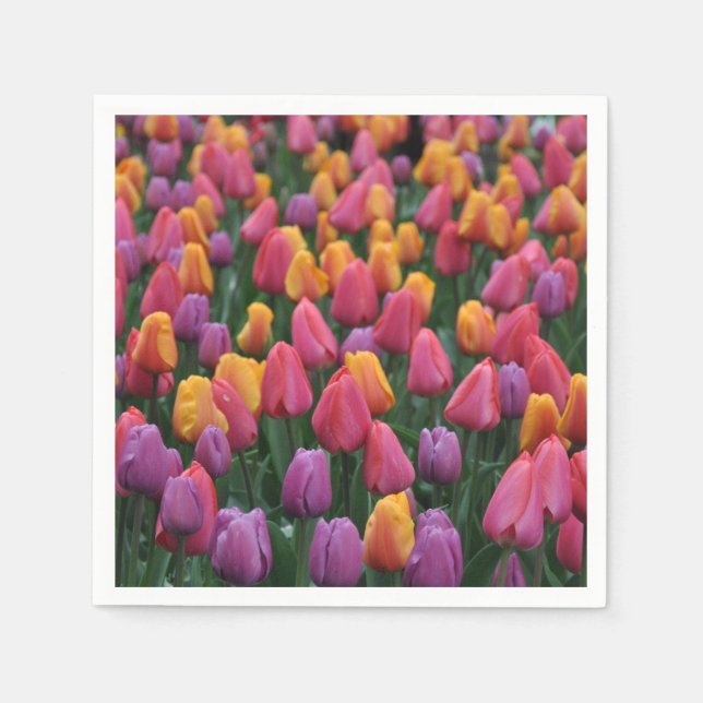 Farbige Frühlingtulips Serviette (Vorderseite)