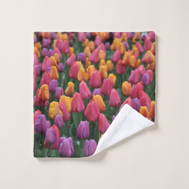Farbige Frühlingtulips Waschlappen (Waschlappen)