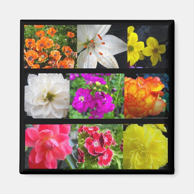 farbige Gartenblumen Magnet (Vorne)