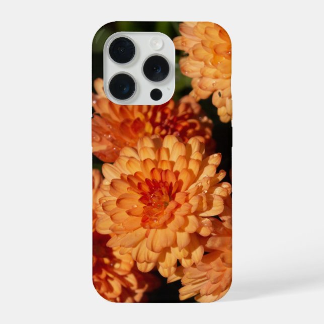 Farbige gelbe Blumen  iPhone Hülle (Rückseite)