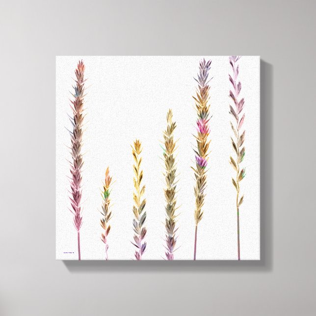 Farbige Gras Leinwanddruck (Vorderseite)