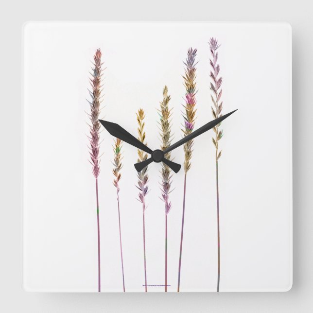 Farbige Gras Quadratische Wanduhr (Vorderseite)