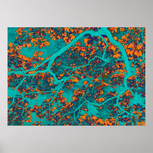 Farbige Grünbäume und Orangenbäume Poster (Vorne)