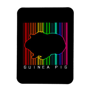 Farbige Guinea   NIEDLICHE GUINEA   Niedliches Tie Magnet