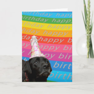 Farbige Happy Birthday Textkarte mit schwarzem Hun Karte