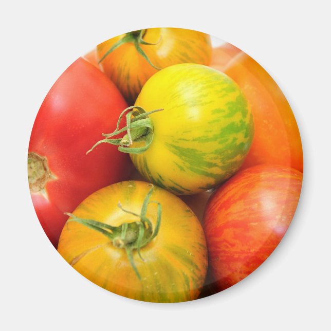 Farbige Heirloom Tomaten Magnet (Vorne)