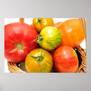 Farbige Heirloom Tomaten Poster