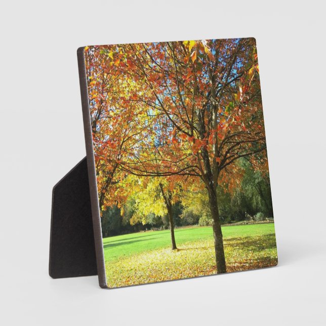 Farbige Herbstbäume Fotoplatte (Vorderseite)