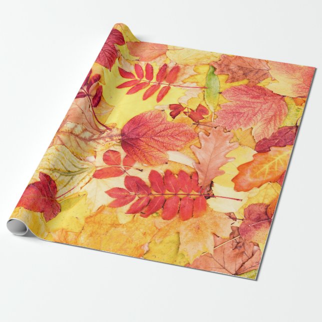 Farbige Herbstblätter. Baumgefallenes Laubmuster.  Geschenkpapier (Ungerollt)