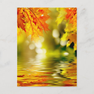 Farbige Herbstblätter, die im Wasser reflektieren Postkarte