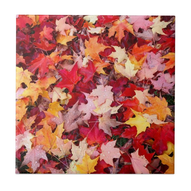 Farbige Herbstblätter Fliese (Vorderseite)