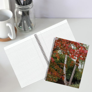 Farbige Herbstblätter Foto Notizbuch