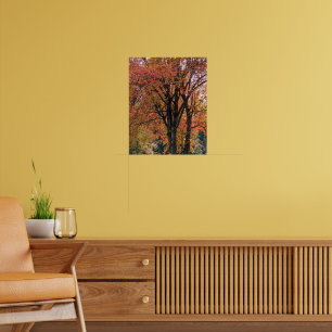 Farbige Herbstblätter Fotografie Poster