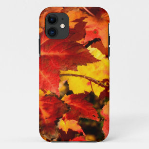 Farbige Herbstblätter, gold rot orange Ahornblatt Case-Mate iPhone Hülle