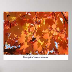 Farbige Herbstblätter Kunst Drucke Orange Herbstba