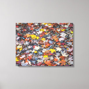 Farbige Herbstblätter mit Leinwand