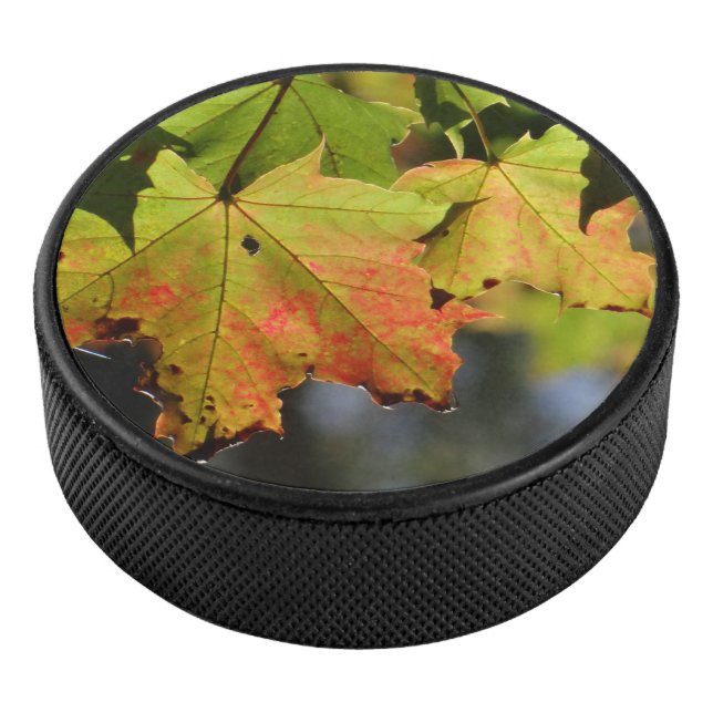 Farbige Herbstlaube Eishockey Puck (3/4)