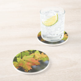 Farbige Herbstlaube Getränkeuntersetzer