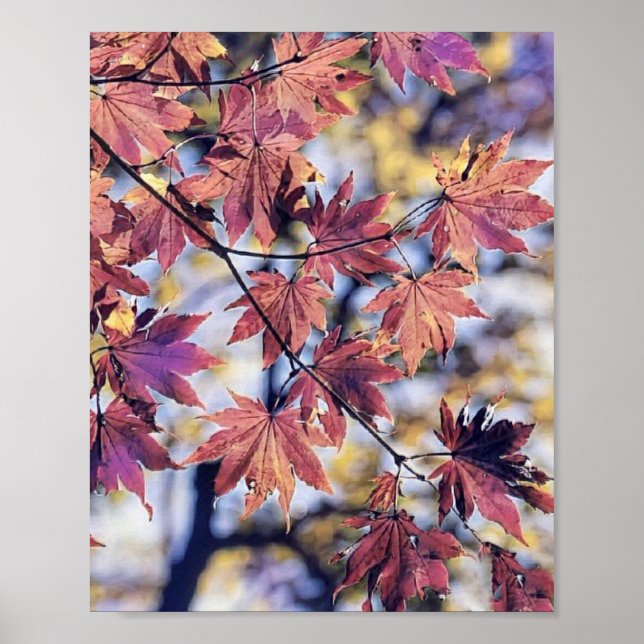 Farbige Herbstlaube mit Herbstfarben Aquarell Poster (Vorne)