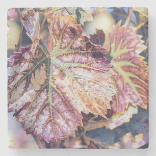 Farbige Herbstlaube mit Herbstfarben Aquarell Steinuntersetzer