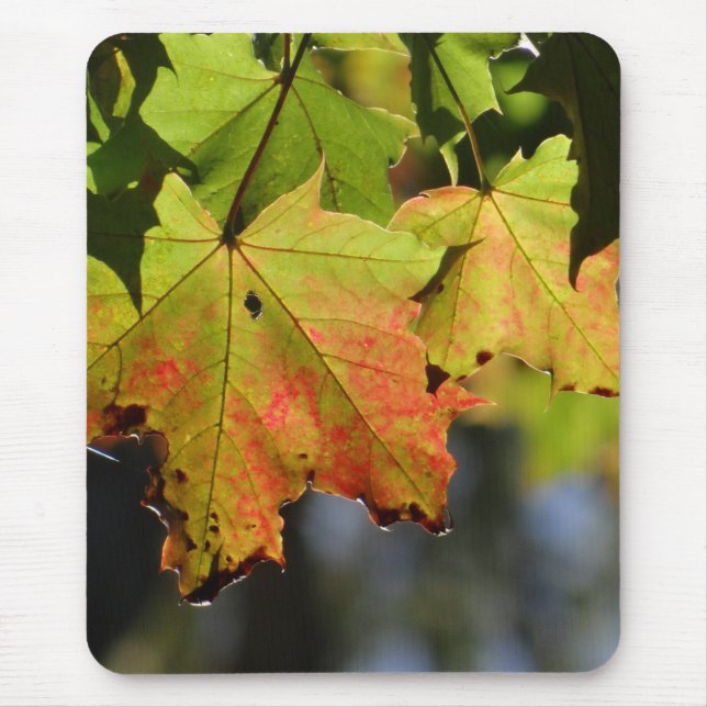 Farbige Herbstlaube Mousepad (Vorne)