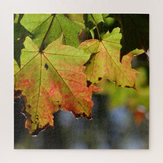 Farbige Herbstlaube Puzzle (Vertikal)