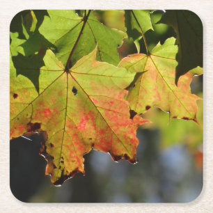 Farbige Herbstlaube Rechteckiger Pappuntersetzer
