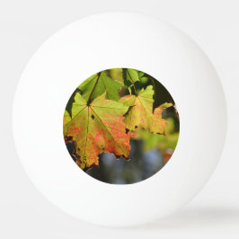 Farbige Herbstlaube Tischtennisball