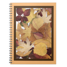Farbige Herbstleaves Collage Brown Orange Gerahmt