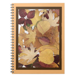 Farbige Herbstleaves Collage Brown Orange Gerahmt Notizblock
