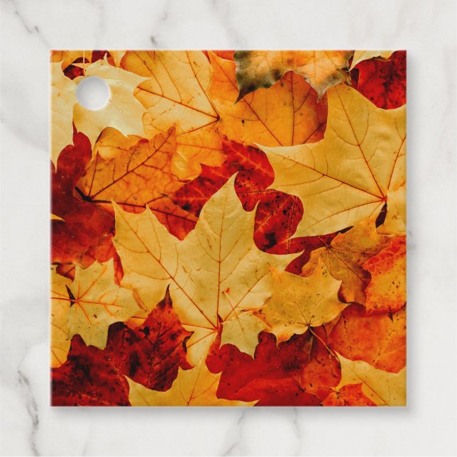 Farbige Herbstleaves Fotografie Geschenkanhänger (Vorderseite)