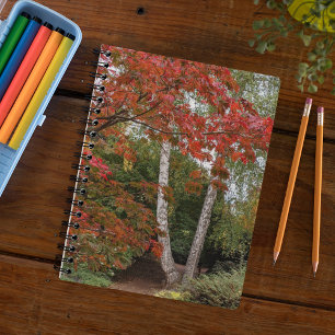 Farbige Herbstverlässe Foto Notizblock